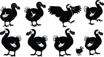 Black and White Dodo Bird Silhouette Vector Collection Featuring Extinct Mauritian Flightless Birds in Various Poses Including Standing Walking Running and Small Baby Dodo © IconicCreations