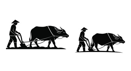Farmers plowing fields with water buffalo a striking black silhouette © Prince