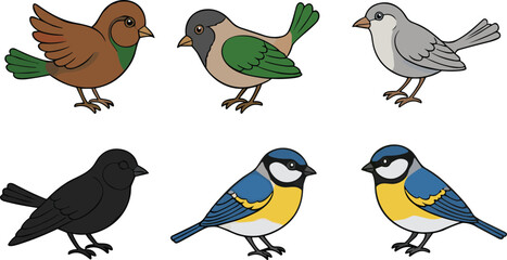 Cute Cartoon Songbirds Collection in Flat Design Style Isolated on White Background Vector Illustration Set © Sumon Creative
