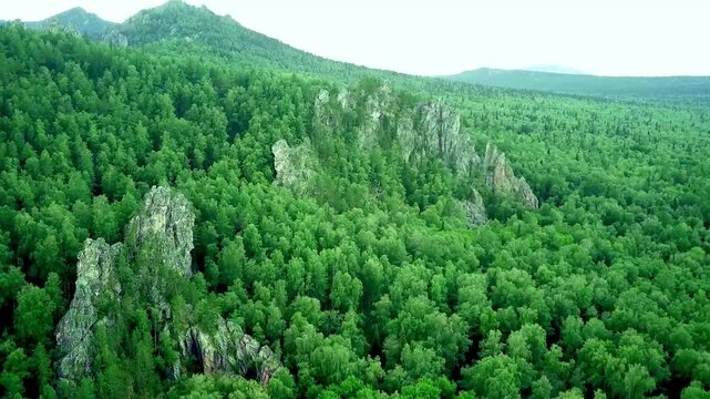 Bird's eye view of green forest and rocks.