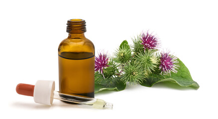 Arctium lappa (Burdock) herbal extract in glass bottle with dropper