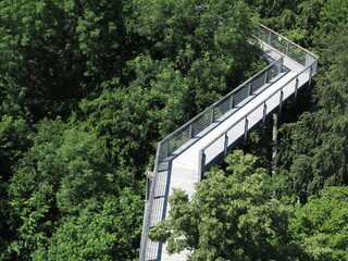 Baumkronenpfad Nationalpark Hainich © Martina Berg