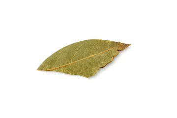 Dried bay leaf herb seasoning transparent background