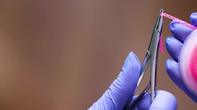 Dentist hands demonstrating surgical extraction forceps and apical root elevator instruments for tooth removal procedure showcasing precision stainless steel tools in clinical setting