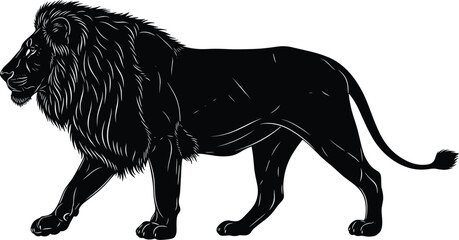 Black Silhouette of a Majestic Lion Walking on White Background big cat feline © Ashraful