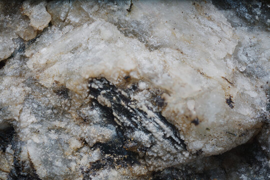 Macro image of analcime and aegirine crystals with albite from Blue Lakes Gorge near Aykuayvenchorr Mt., Khibiny captured via microscope objective at 4&times; magnification with 9 mm field of view