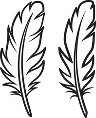 Obraz premium Silhouette of two delicate feathers, abstract design