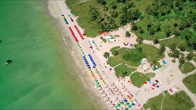 Colorful umbrellas on the turquoise beach in Alagoas