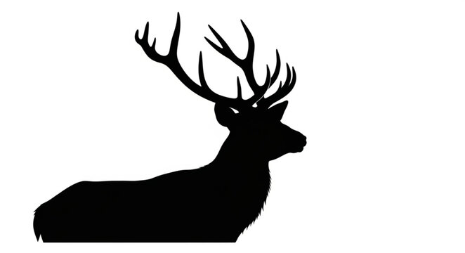 Silhouette of Deer with Antlers.