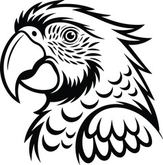 Fototapeta premium Black and white parrot with detailed feathers and beak bird