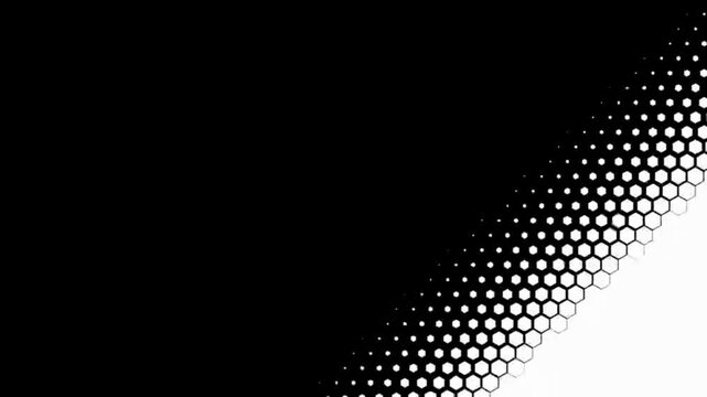 Modern Hexagon Halftone Transition Pack - Black and White Geometric Motion Graphics