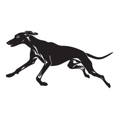 Fototapeta premium Running greyhound dog in dynamic motion vector illustration flat design