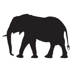 Fototapeta premium Elephant walking silhouette black vector illustration flat design art