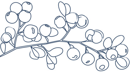 Blueberry Branch Line Art Illustration. Hand-drawn Botanical Sketch of Berries and Leaves. Simple Outline Design Element.