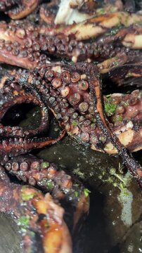 Vertical video close up of steamed octopus finished on the grill until crispy . Tender seafood with charred texture and fresh herb garnish. Gourmet Mediterranean cuisine, restaurant plating
