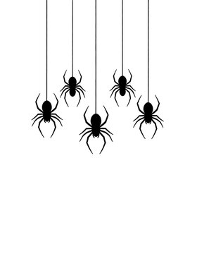Five black spiders hanging from thin lines against white background. Simple, isolated graphic