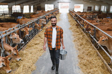 Farmer walking in cowshed holding metal bucket at dairy farm