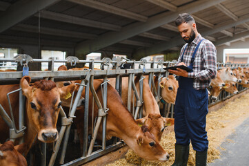 Farmer using digital tablet while monitoring cows in barn