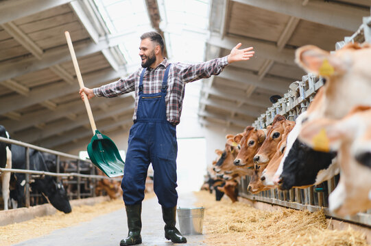 Cheerful farmer dancing and singing on cow farm holding shovel