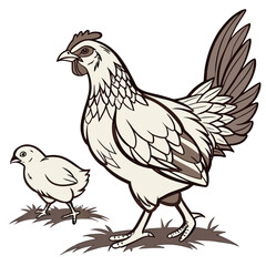 White chicken and chick standing on grass brown poultry © MST RAMIJA