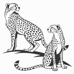 Black and white of two cheetahs animals wildlife spots © MST RAMIJA