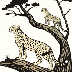 Two cheetahs standing on tree branch with grass and trees © MST RAMIJA