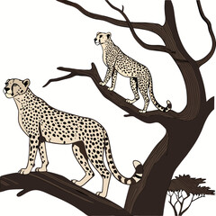 Two cheetahs standing on tree branches with white background © MST RAMIJA