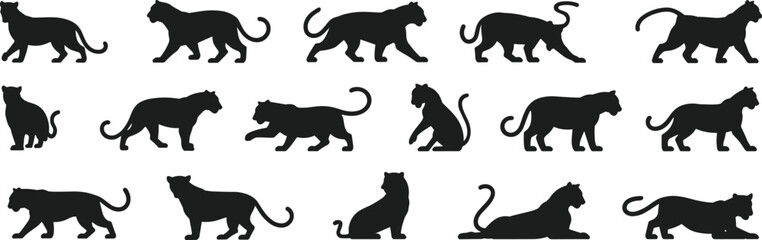 Collection of panther and big cat silhouettes in various poses isolated on white background, wild feline animal vector illustration set © Shariyar Pantho