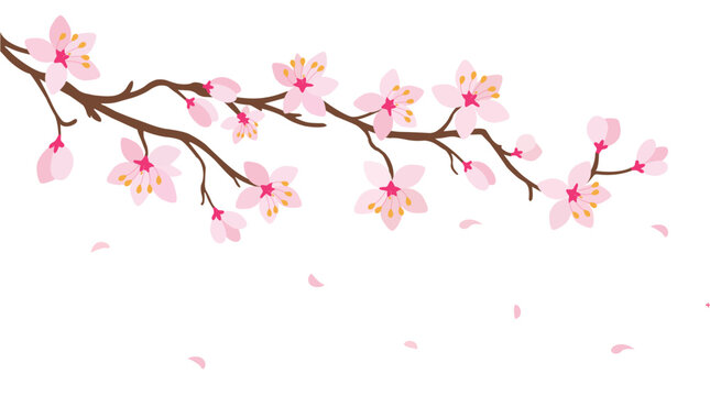 Minimal Cherry Blossom Branch Banner with Floating Petals.