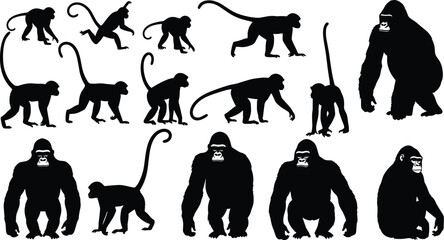 Black primate silhouettes collection featuring monkeys and gorillas in dynamic walking, running, climbing poses, contrasting tails, body structures, upright stances, isolated vector illustration © MDMUNTASSER