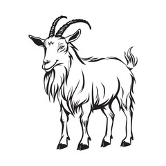 Fototapeta premium Majestic black and white drawing of a powerful farm goat with horns