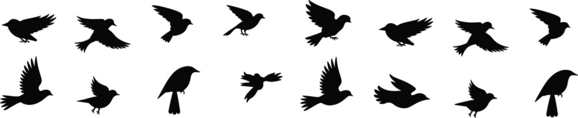 Fototapeta premium Flying bird silhouettes collection isolated on white background, black avian vector set with perched and soaring birds for logo, tattoo and decorative design