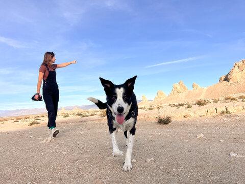 UGC videographer walking dog 
