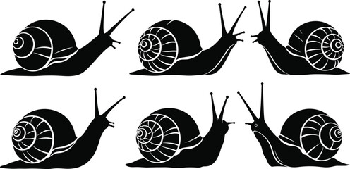 Snail silhouette set garden mollusk with spiral shell isolated on white background vector © MDBELAL