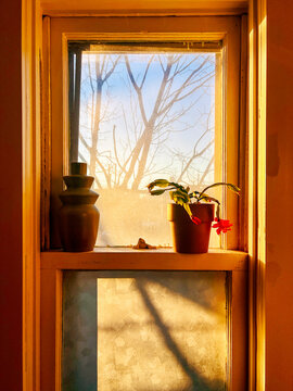 Sunlight Shines Through Window Onto Plants and Objects Indoors