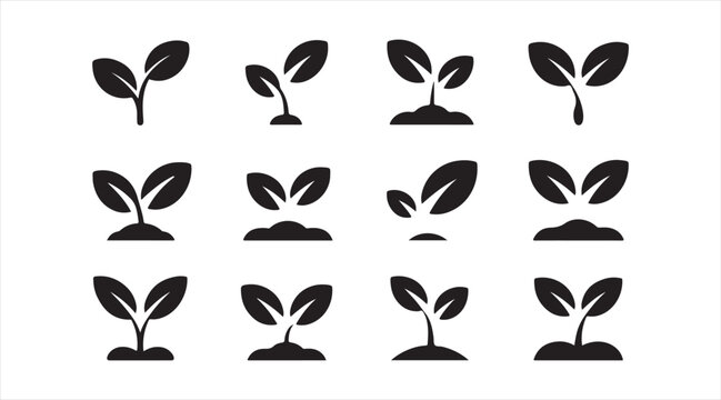 Seedling sprout silhouettes showing plant growth stages isolated botanical icon collection