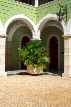 Green Courtyard With Palm and Archways in Sunny Location