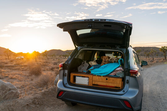 suv camper on the road travel