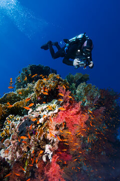 Scuba Divier Making Videos