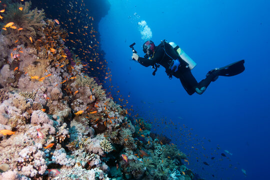 Diver Explores Coral Reef While Taking Photos Underwater