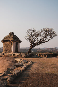 Old temple and a tree in Humpy.