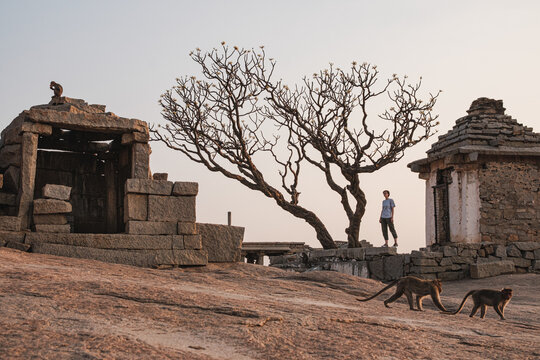 A photographer and monkeys among ruins.