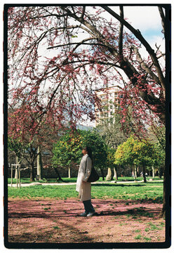 Woman standing under tree and admiring it