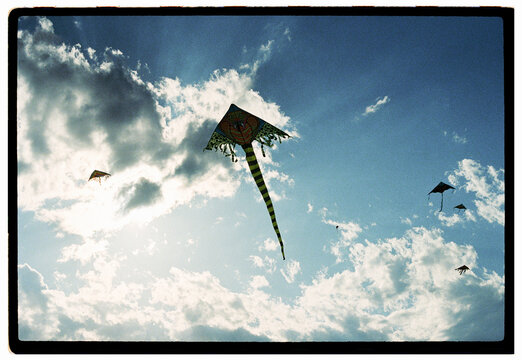 Kites flying in the sky