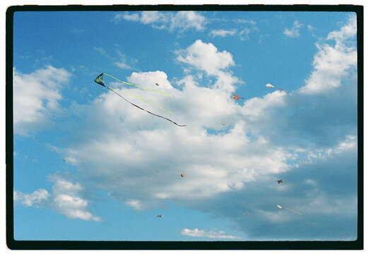 Kites in the sky