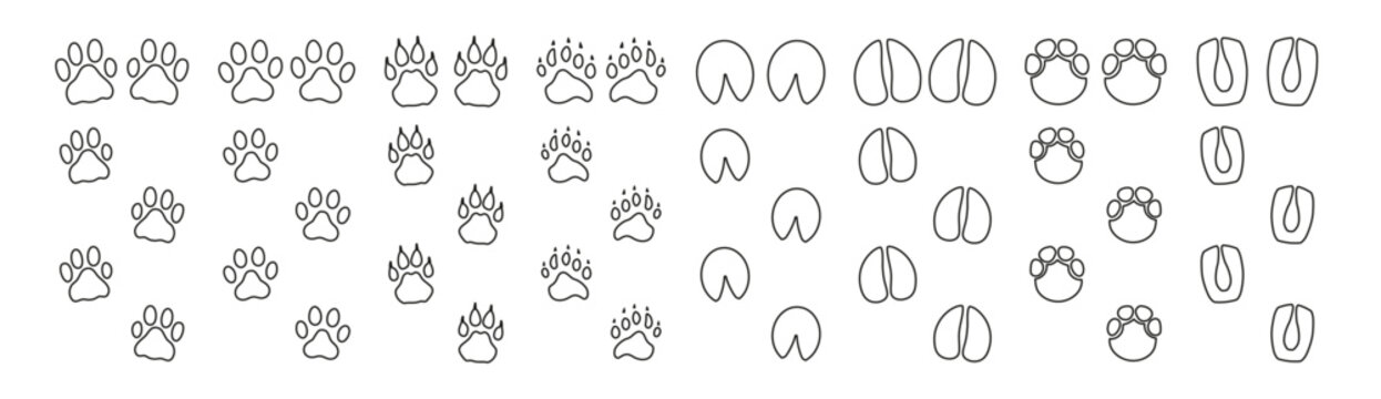  Vector set of animals and birds footprints and tracks isolated on transparent Vector Illustration
