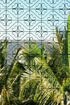 Closeup of a pretty metal security screen with Palm Trees
