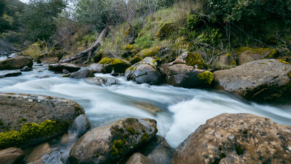Fototapeta premium Long exposure view of a rushing creek with silky water cascading over rocks