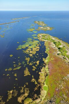 Aerial view of the vibrant marshland of Lake Okeechobee, with striking contrasts of deep blue waters and verdant vegetation, Lake Harbor, Florida, United States.