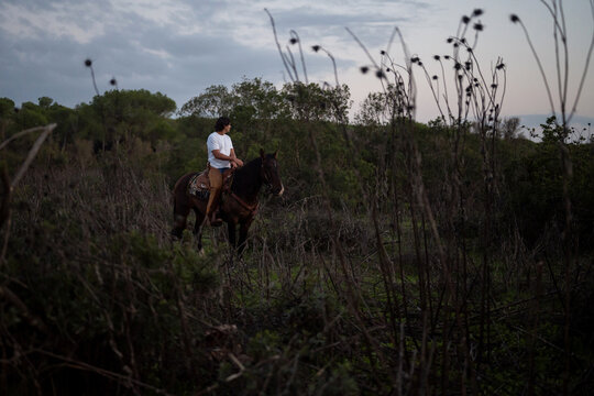 Cowboy Observing Landscape While Riding Mustang